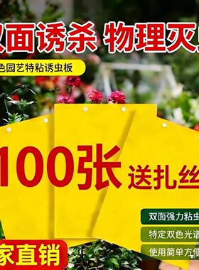 双面强力粘虫板大棚蔬菜茶园果园诱虫黄板柑橘飞虫针峰贴家用防虫