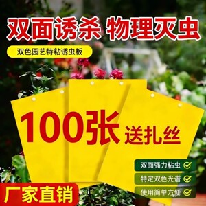 双面强力粘虫板大棚蔬菜茶园果园诱虫黄板柑橘飞虫针峰贴家用防虫