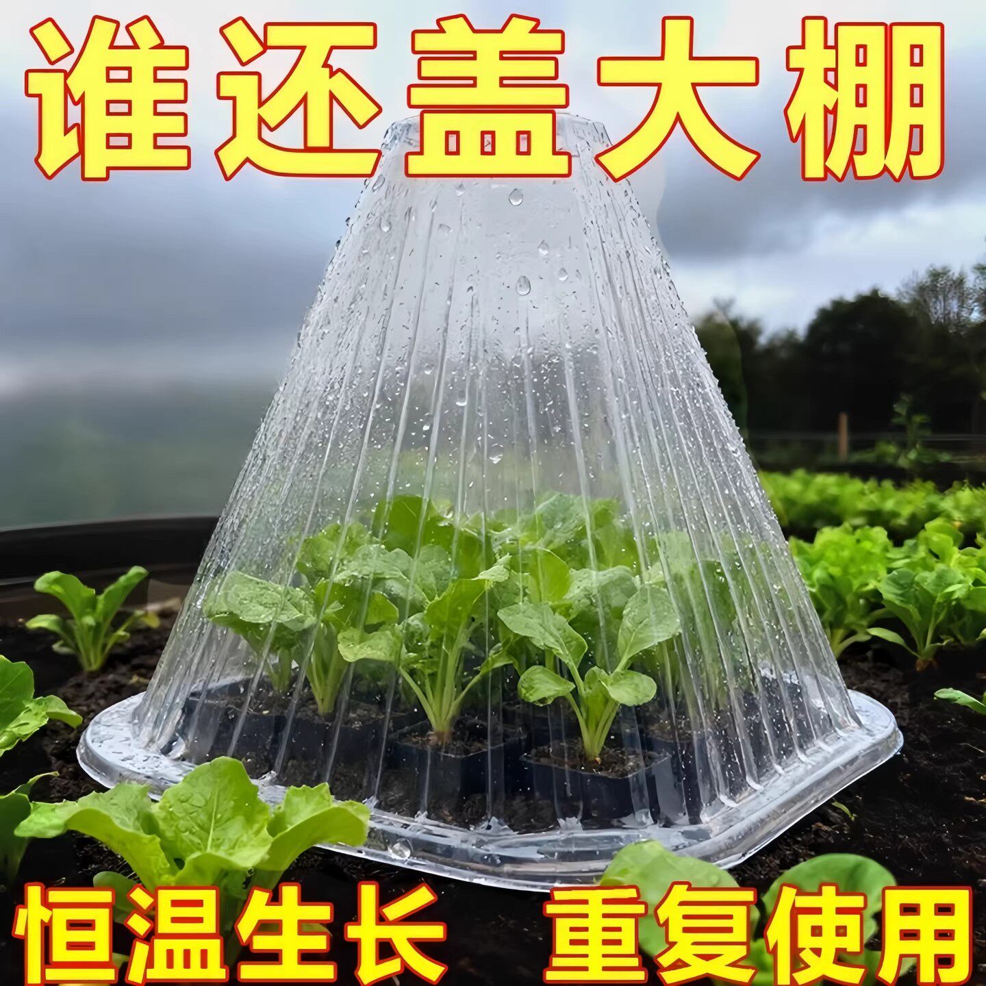加厚加大育苗保护罩防鸟罩蔬菜种植罩透明塑料薄膜菜苗罩防冻防虫