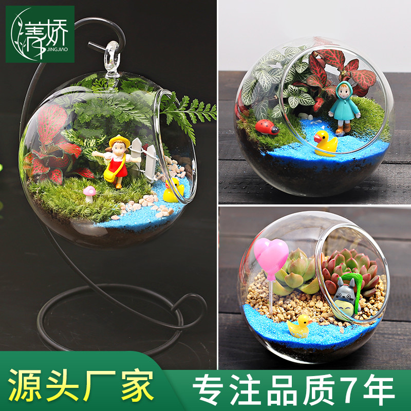 趣味苔藓多肉肉迷你绿色植物玻璃微景观盆栽组合 生态瓶diy材料包