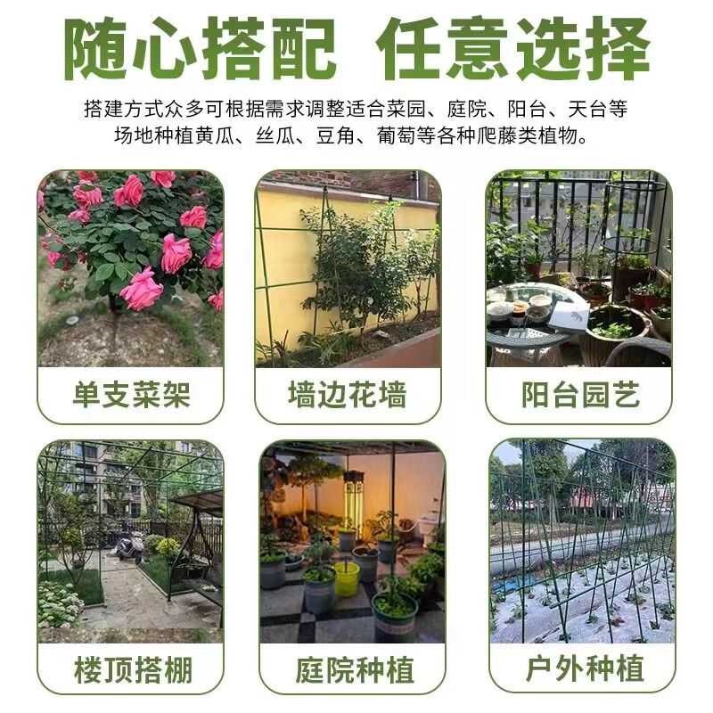 植物支撑杆爬藤支架葡萄架豆角番茄黄瓜百香果攀爬架户外园艺花架