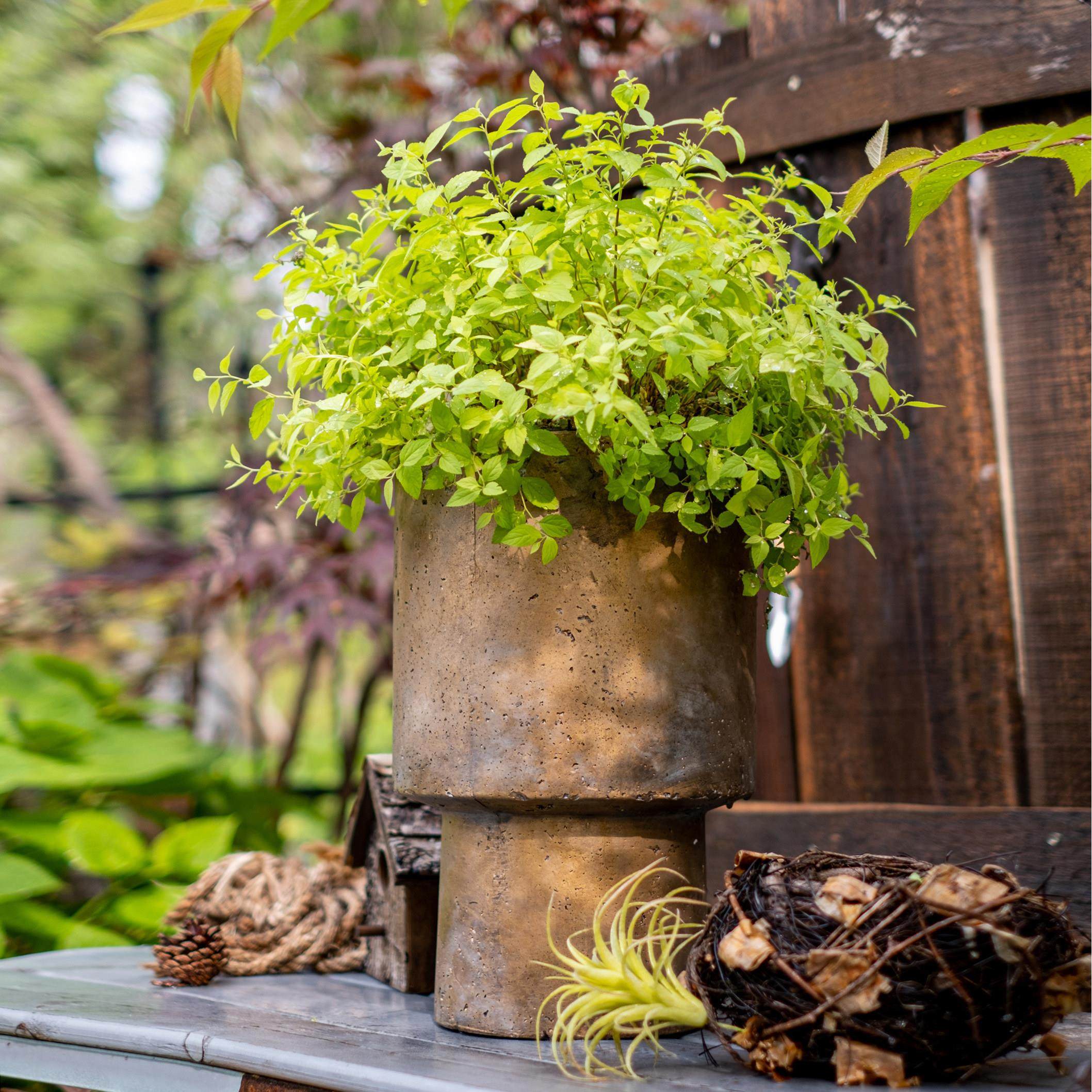 掬涵仿古花器水泥花盆复古大号花瓶落地绿植盆装饰摆件庭院别墅,家居饰品,花盆,淘宝优惠券,粉丝福利购,淘宝优惠卷