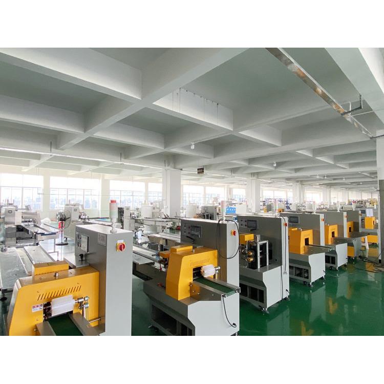 长发包装枕式包装机450伺服日用品餐具包装机opp膜化妆棉包装机