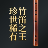 蒋云盼素笛专业演奏笛子竹笛木笛横笛长笛笛王高颜值笛子十大品牌