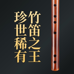蒋云盼素笛专业演奏笛子竹笛木笛横笛长笛笛王高颜值笛子十大品牌