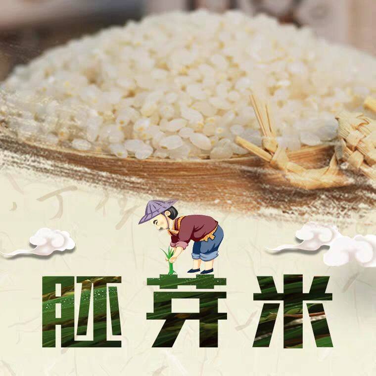 速发2024年正宗东北胚芽米晚稻抛光现磨不粳米新米无添加农家优质