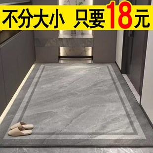进门地垫入户门垫防尘耐脏进户门地毯家用轻奢防水防滑入门小垫子