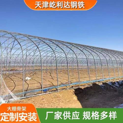 大棚管厂家现货q235b大棚骨架可折弯蔬菜种植大棚用镀锌椭圆管
