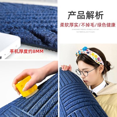 蓝色入户门地垫玄关门口地毯门外高级感室外进门耐脏脚垫防滑门垫