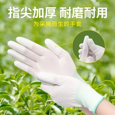 采茶手套女士干活劳保耐磨工作加厚耐用采摘农活防滑防割防刺