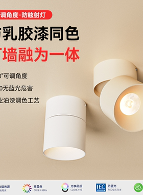 可可蛋奶明装式免打孔射灯可调角度店铺商用乳胶漆同色奶油中古风