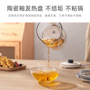 迷你花茶杯保温煮茶器全自动 小质养生壶办公室小型家用多功能新款