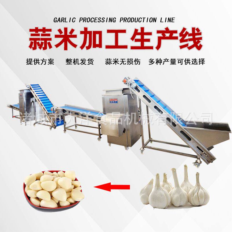 大洋机械大蒜分瓣去皮生产线可定制产量高省人工蒜头分瓣脱皮设备
