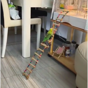 鹦鹉秋千爬梯云梯虎皮玄凤鸟笼玩具牡丹配件啃咬吊环攀花椒木解闷
