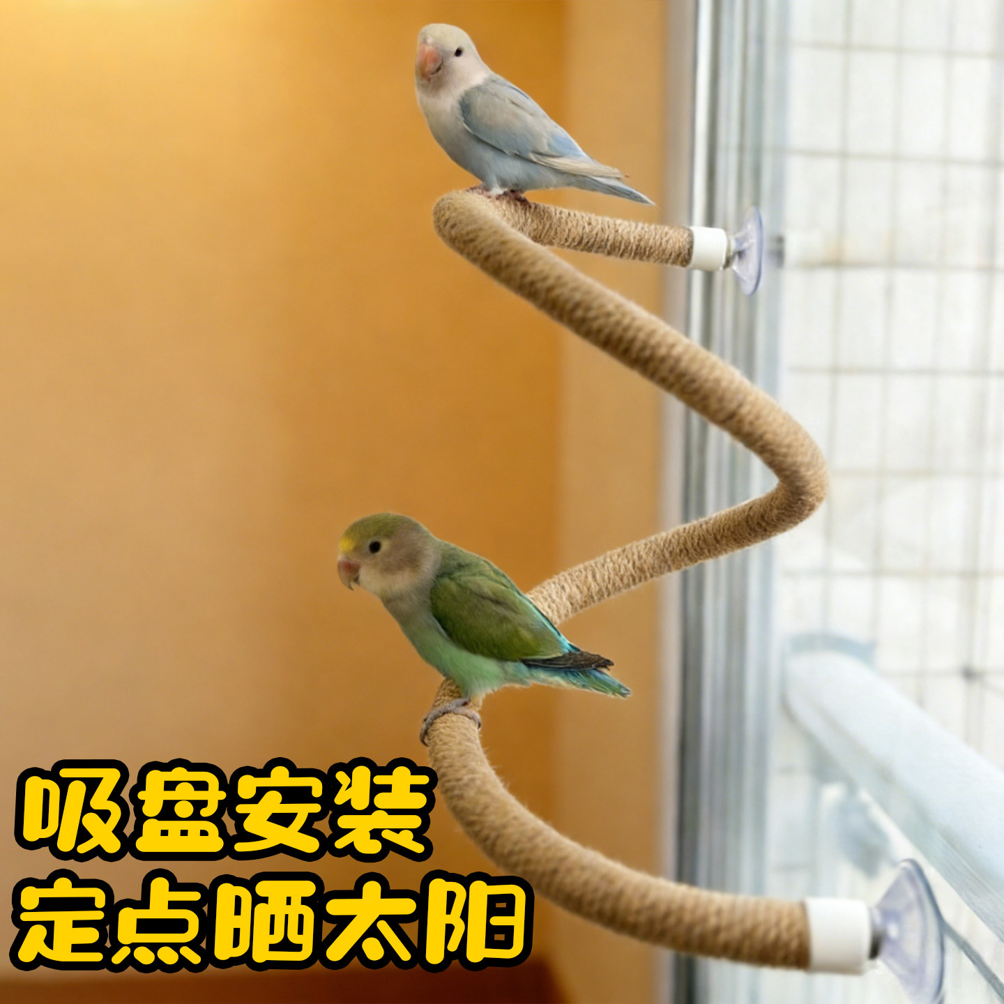 鹦鹉吸盘安装站台空中站架笼子玻璃磁砖可弯曲麻绳站杠爬棍玄凤鸟