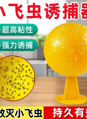 果蝇小飞虫诱捕粘蝇球
