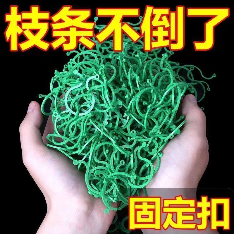 黄瓜西红柿豆角爬藤绑枝固定夹绿植蔬菜捆绑扎带藤蔓专用园林加粗