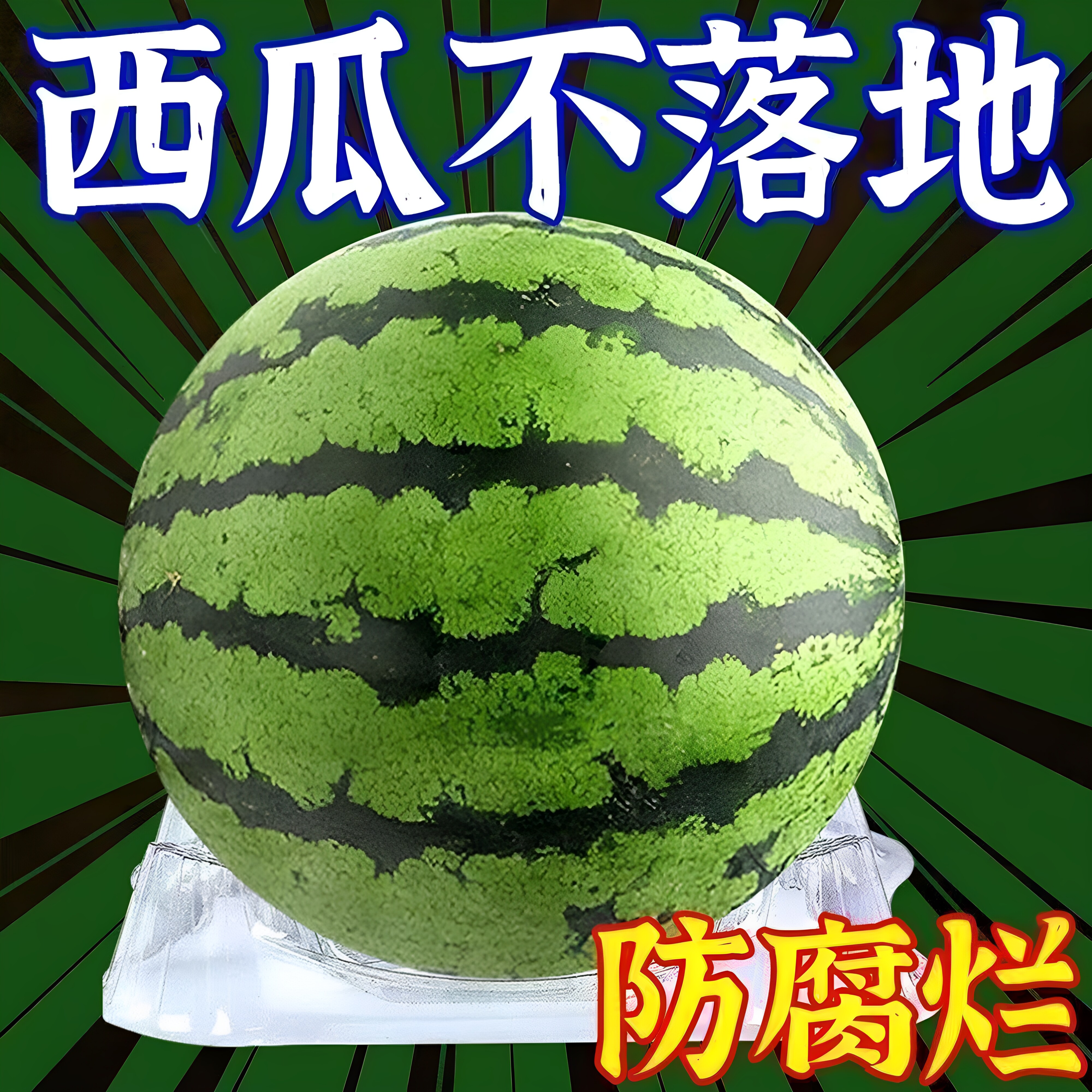 【加固加厚】西瓜托盘支撑架子哈密瓜南瓜瓜果种植防腐烂塑料稳固