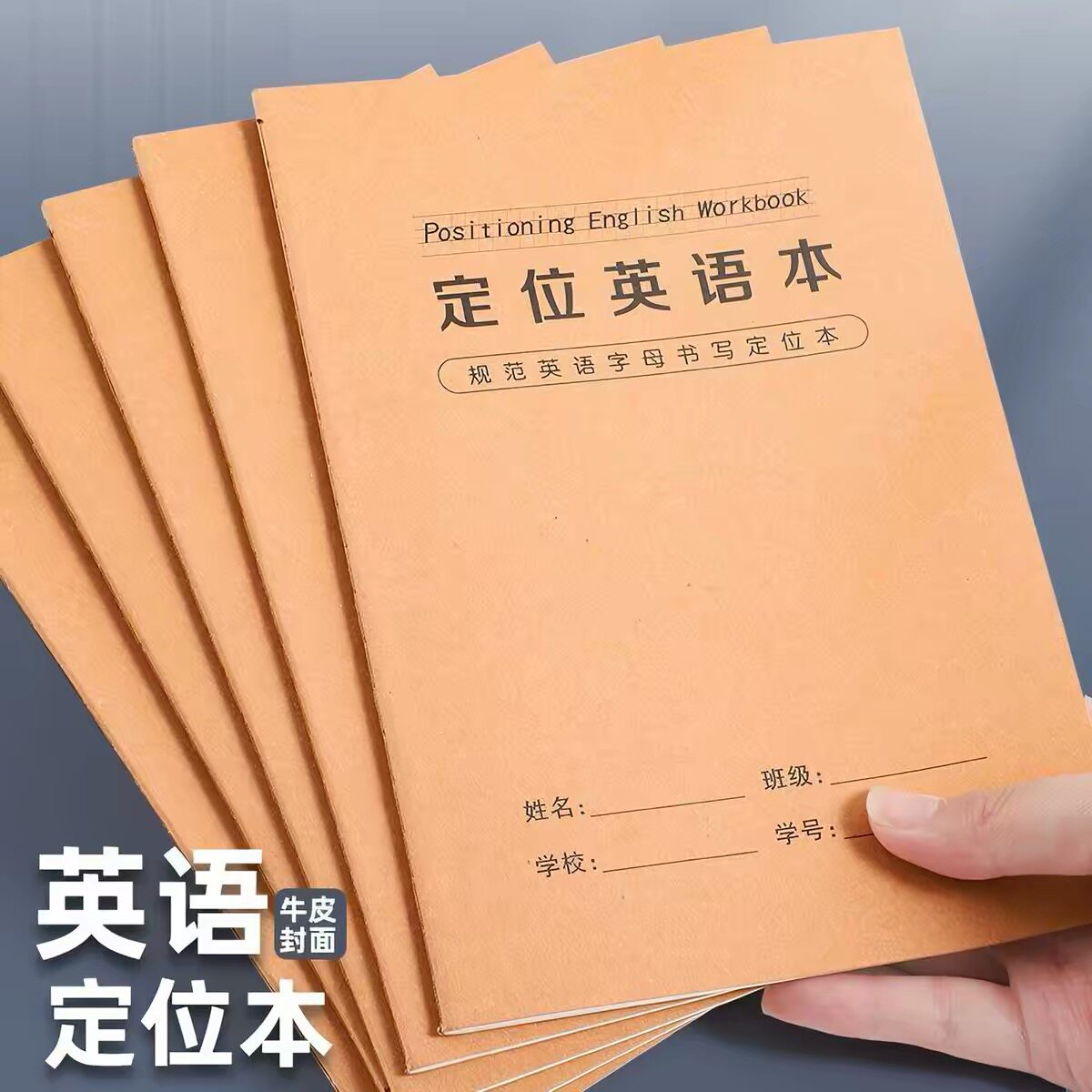 英语定位书写本英语定格初中生专用英文书写小学生初学专用定位本