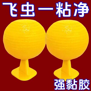 果蝇诱捕器小飞虫灭杀神器室内去除厨房蠓虫粘虫球诱苍蝇