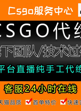 CSGO 完美魔王S  在线接单完美5E平台上分代练代打