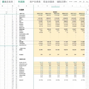 DCF折现现金流Excel估值模型中文详细的估值建模投资收益分析模板