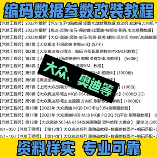 资料非常全 教程 维修调试必备参考指南 数据参数改装 大众奥迪编码