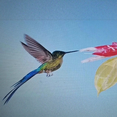 AutoCAD蜂鸟工具插件功能强大好操作简单提升绘图效率AutoCAD专用