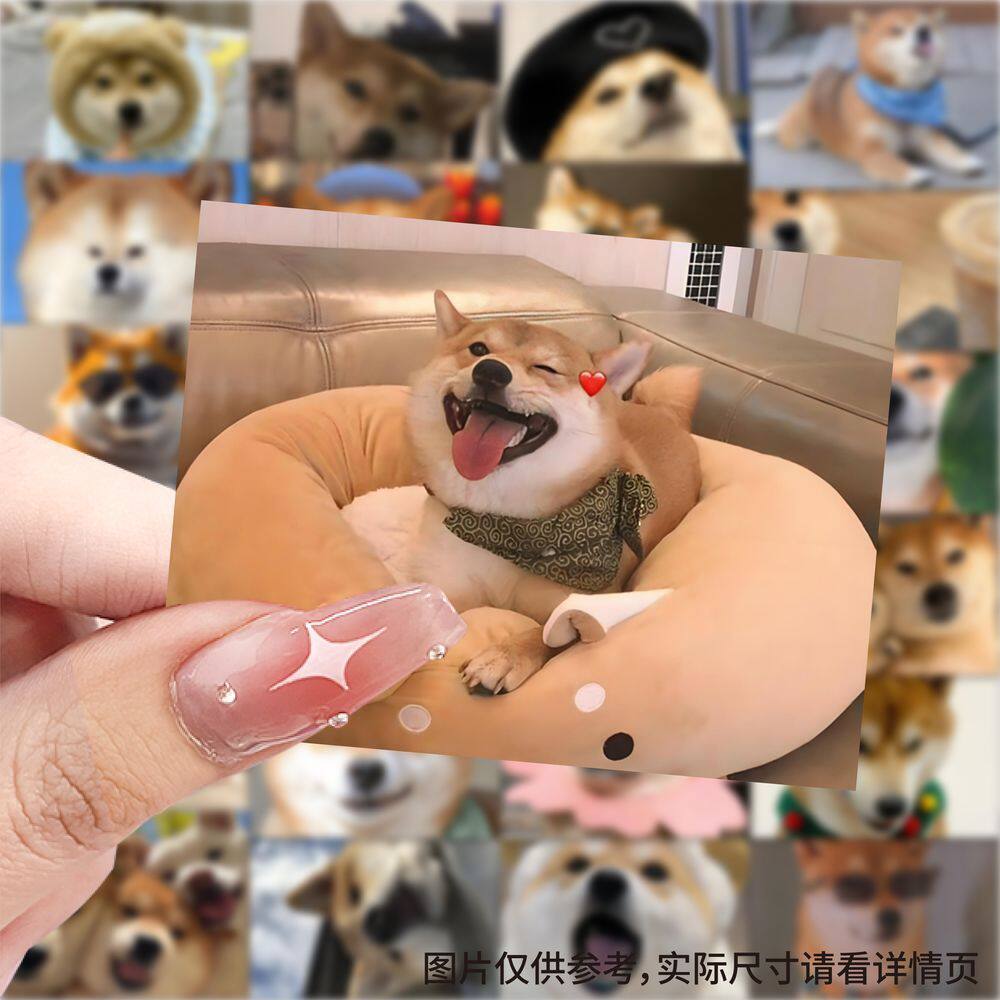 【大图释官方授权】252张柴犬头像可爱笔记本搞笑装饰趣味小狗图案手机壳手账防水桌面diy自粘不干胶标签贴画