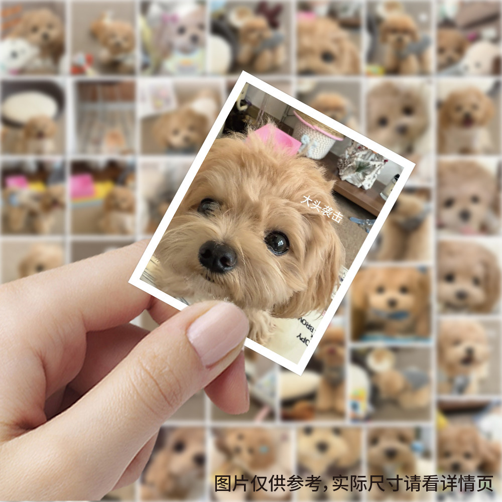 120张马尔泰小狗贴纸卡通小动物