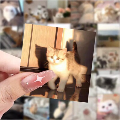 118张超萌治愈小猫贴纸