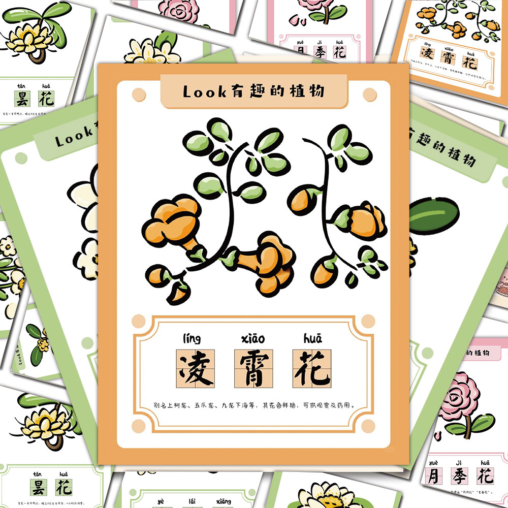 Look有趣的植物花卉贴纸简约小清新花草手绘装饰贴画防水