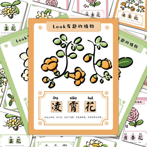 Look有趣的植物花卉贴纸简约小清新花草手绘装饰贴画防水