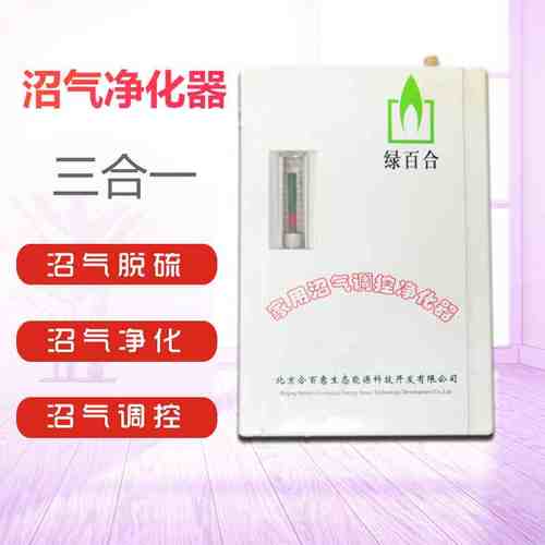 家用沼气净化器调控脱硫器沼气发电机专用压力表沼气配件