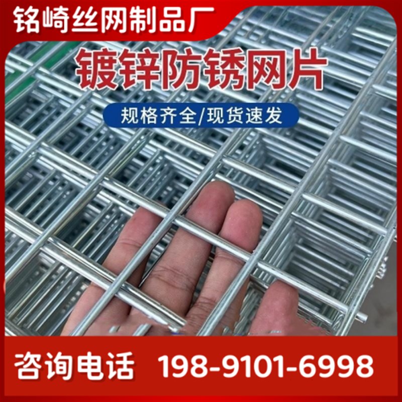 四川镀锌铁丝电焊网片建筑网格养殖隔离网狗笼子钢丝围栏防护网