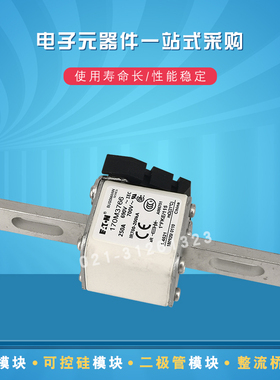 170M3760 3761 3762 3763 3764 3765 3766 3767快速巴斯曼熔断器