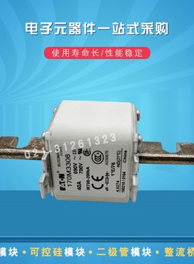 快速熔断器保险丝170M3308 3309 3310 3311 3312 3313 3314 3315