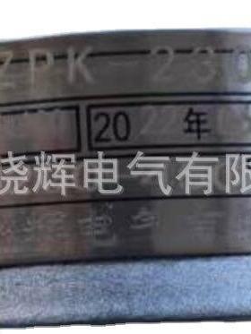 耐磨热电阻WZP-230NM喷涂耐磨热电阻