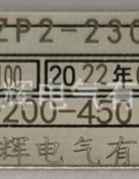 双支热电阻耐磨WZP2-230NM