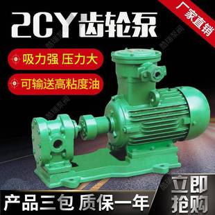 牌2CY齿轮油泵 上海高压齿轮润滑油泵 齿轮输油泵
