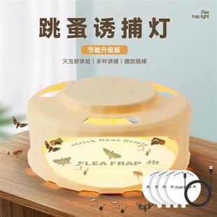 trap灭蚊灯环保 fly 新款 跳蚤灯飞虫粘捕器果蝇诱捕器fruit