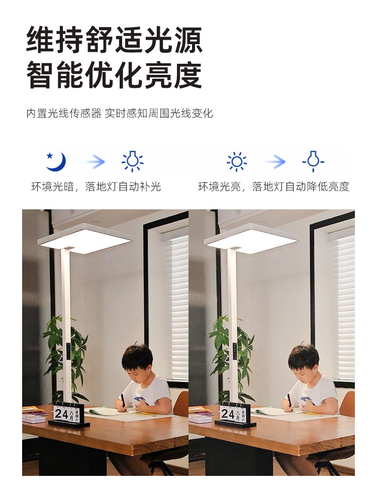 Full Spectrum Floor Lamp: Street Lamp Style E2120A+ - Product image 3