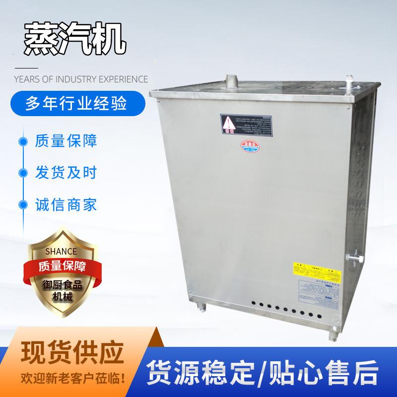 厂家直供小型蒸汽锅炉电加热蒸汽发生器商用桥梁养护压力蒸汽机