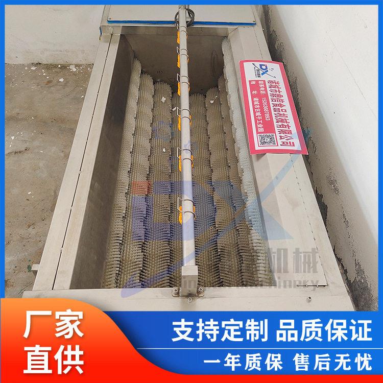 红薯去泥清洗机  胡萝卜去皮清洗设备 猪耳朵自动清洗设备