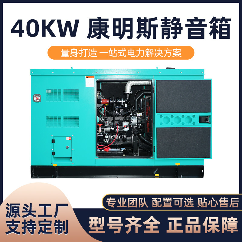 海柴厂家直销40kw 康明斯配客户提供静音箱柴油发电机组环保防尘