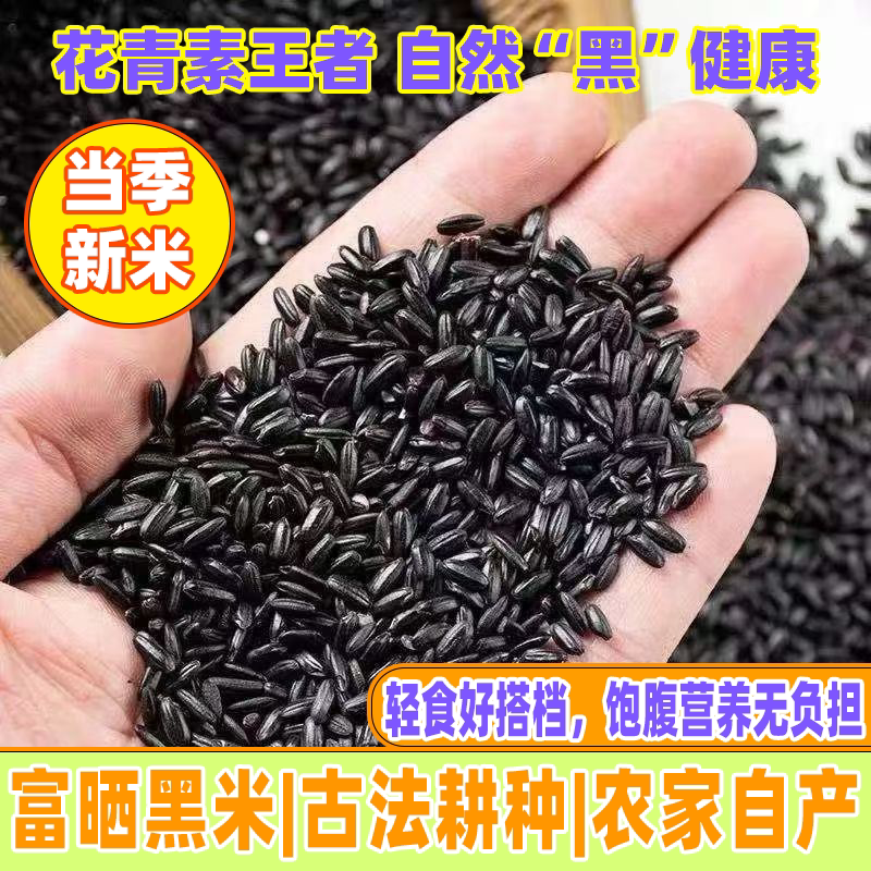正宗有机黑米秋收新米糙米东北有机黑米粥五谷杂粗粮代餐饱腹主食