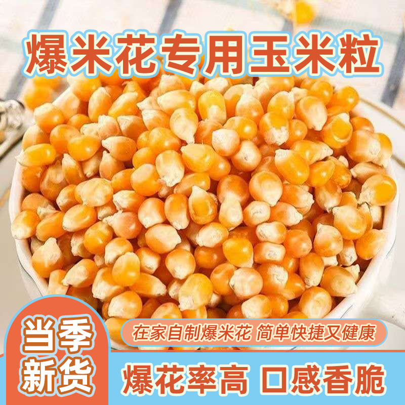 爆米花球形专用玉米粒玉米家用自做自制爆米花原料爆裂商用批发