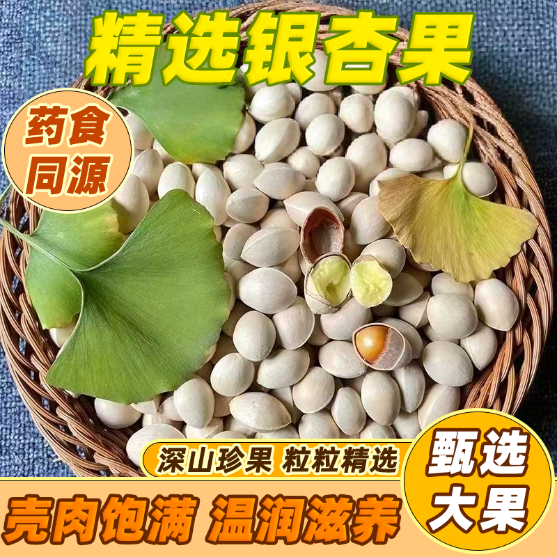 带壳银杏果白果当年秋季新鲜生白果银杏果天然不漂白无硫熏生银杏