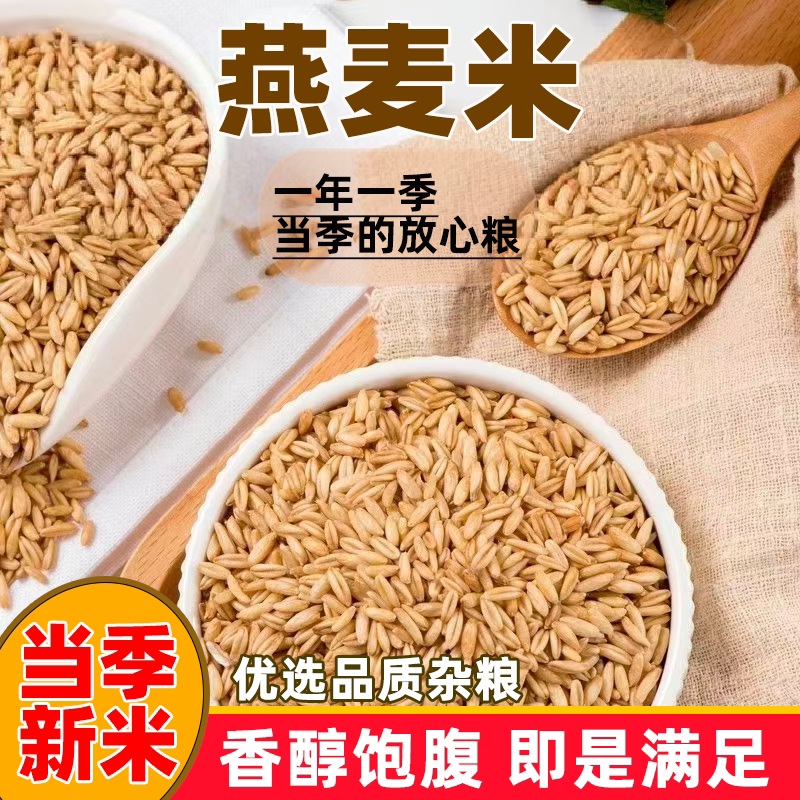 新货燕麦米新米农家自种燕麦仁五谷杂粮全胚芽燕麦片燕麦粒燕麦米