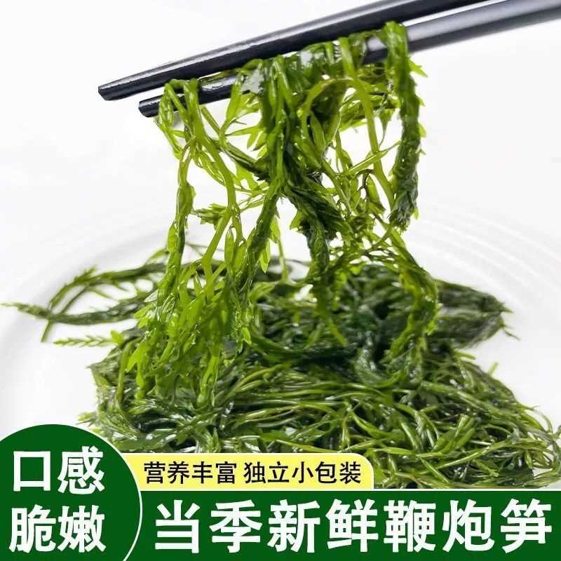 鞭炮笋海笋长寿菜商用凉拌菜藻菜涮火锅食材鞭泡笋盐渍马尾藻新鲜